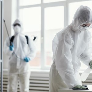 Sterilex C | Detergente - Sanitizante